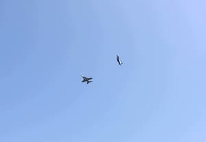 குவைத் வான்வெளியில் பறந்த அமெரிக்க போர் விமானங்களை சுட்டு வீழ்த்தியது ஈரான்