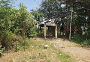  மன்னாடிமங்கலம் மயானம் சீரமைக்கப்படுமா