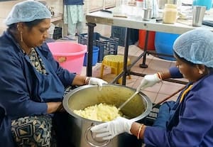  500 கிலோ நெல்லிக்காயில் ஊறுகாய் தயாரிப்பு துவக்கம்