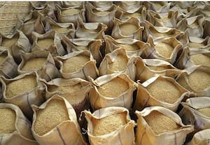  31 லட்சம் டன்னை தாண்டியது தமிழகத்தில் நெல் கொள்முதல்