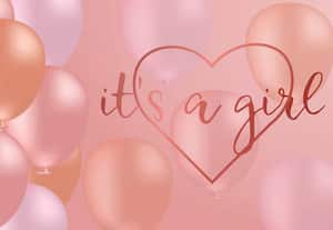  3,622 பெண்களுக்கு பிங்க் அட்டைகள் வழங்கல்