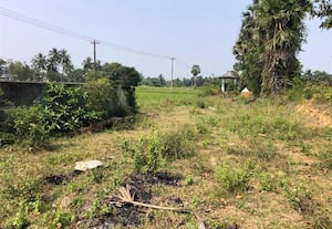  மயானத்திற்கு செல்ல பாதை வசதி ஏற்படுத்த வலியுறுத்தல்