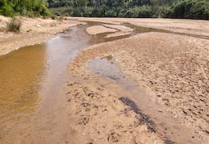  வறண்ட மூல வைகை ஆற்றில் மழையால் மீண்டும் நீர்வரத்து