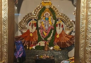  அரங்கநாதர் வீதி உலா: பக்தர்கள் சுவாமி தரிசனம்