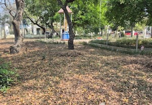  பராமரிப்பு இல்லாத வட்டார வளர்ச்சி பூங்கா