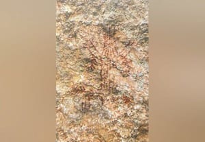  நாகப்புடவு பாறை ஓவியங்கள் கண்டுபிடிப்பு