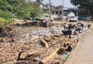  கோயிலுக்கு செல்லும் வழியில் குப்பையால் பக்தர்கள் வேதனை கண்டுகொள்ளாத யூனியன் அலுவலர்கள்
