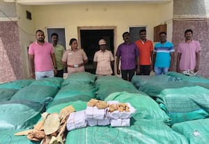  இலங்கைக்கு கடத்த முயன்ற  ஒரு டன் பீடி இலை பறிமுதல்