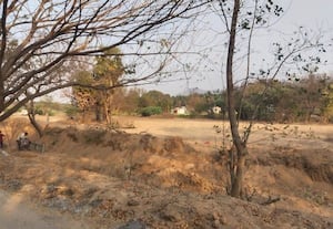  தார் சாலை பணிக்காக பாலாற்று மணல் 'ஆட்டை'; 4 வண்டி மட்டும் அள்ளியதாக ஒப்பந்ததாரர் ஒப்புதல்