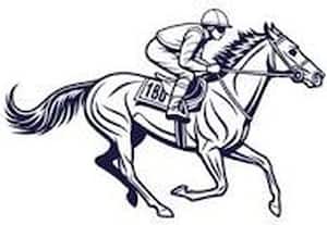  தேசிய குதிரை படை போட்டி சென்னை போலீசார் அசத்தல்