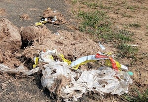  திறந்த வெளியில் பிளாஸ்டிக் கழிவுகள் யானைகள் அதிகம் உட்கொள்வதால் ஆபத்து