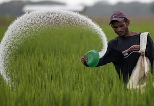  'ரசாயன உரங்கள் போதிய கையிருப்பு'