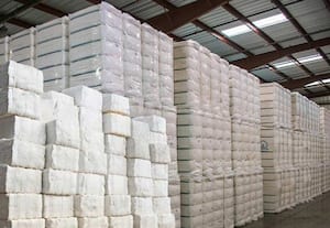  பஞ்சுக்கான 'லிப்டிங்' அவகாசம் குறைப்பு அறிவிப்பால் அதிர்ச்சியில் நுாற்பாலைகள்