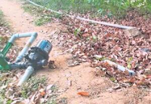  ஆக்ரோஷத்துடன் சுற்றும் யானைகள்: கிராம மக்களுக்கு வனத்துறை எச்சரிக்கை