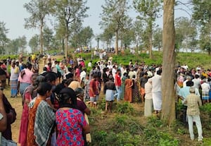 காட்டு யானை தாக்கி இருவர் பலி