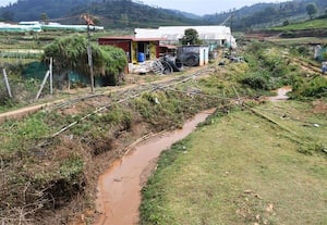  நீரோடைகள் பராமரிப்பு இல்லாததால் விவசாய நிலங்கள் ﻿ பாதிக்கும் அபாயம்! 