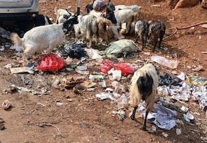  பஜாரில் குப்பை தேக்கம் பெரும் சுகாதார கேடு