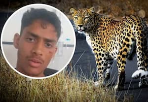  சிறுத்தையை வெறுங்கையால் அடித்து கொன்ற இளைஞர்