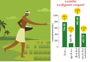  எரிவாயு ஒழுங்குமுறை ஆணையால் உர நிறுவன பங்குகள் உயர்வு