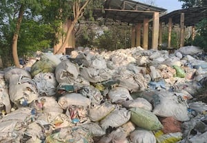  பிளாஸ்டிக் குப்பை கிடங்கில் விஷ பாம்புகளின் நடமாட்டம்