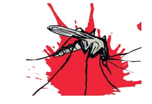 பாடாய்படுத்தும் கொசுக்களின் பெருக்கத்தை தடுக்க என்ன நடவடிக்கை? அரசு, மாநகராட்சியிடம் அறிக்கை கேட்டது ஐகோர்ட்