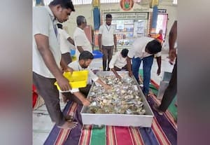  இருக்கன்குடி கோயிலில் காணிக்கை எண்ணும் பணி