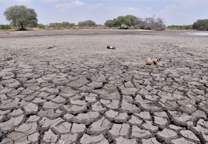  வெயிலின் தாக்கத்தால் வறண்டு வரும் நீர்நிலைகள் மது பாட்டில்களை குவிப்பதால் ஆபத்து 