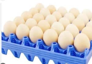  முட்டைகள் காலாவதி அபாயம் ஏற்றுமதியாளர்கள் பரிதவிப்பு