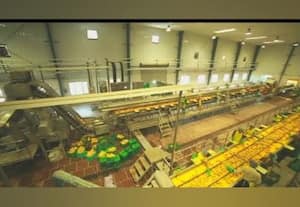  ரூ.2,000 கோடி மாம்பழக்கூழ் தேக்கம் மாம்பழ கொள்முதல் பாதிக்க வாய்ப்பு