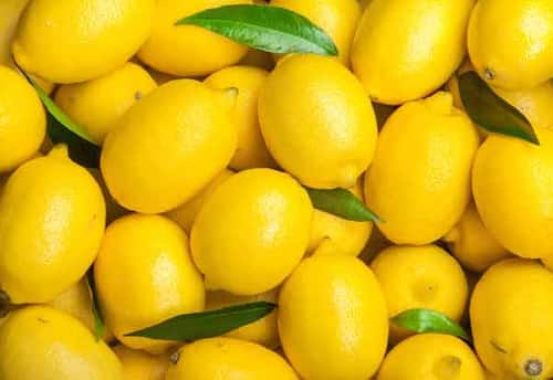  வேளாண் பொருட்கள் சந்தை நிலவரம் ( 12.03.2026) 