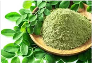  முருங்கை, மிளகாய் ஏற்றுமதி வாய்ப்பு பயன்படுத்தி கொள்ள அரசு அழைப்பு