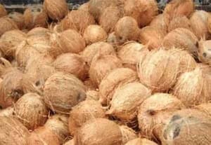  வேளாண் பொருட்கள் சந்தை நிலவரம் 913.03.2026)  