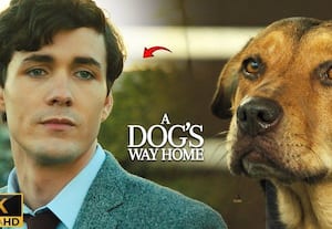  தன் எஜமானை தேடி... ஓடி வரும் அந்த நொடி!