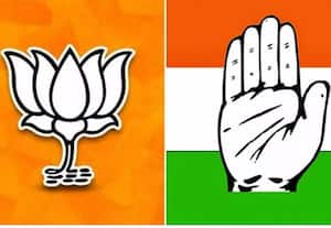  பீஹார் சட்டசபை தேர்தல் செலவு பா.ஜ., அமோகம்; காங்., சோகம்