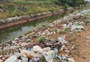  குப்பை தொட்டியாக மாறிய பி.ஏ.பி. பாசன வாய்க்கால்கள்!