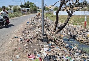  குப்பை மேடாக மாறிய சாலை நீலமங்கலத்தில் சுகாதார சீர்கேடு