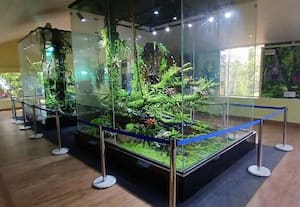  ரூ. 1.5 கோடியில்  ஆர்க்கிடோரியம்; சுற்றுலா பயணியர் குதுாகலம்