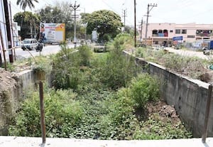  புதர் மண்டி காணப்படும் ஓடை; துார்வார வலியுறுத்தல்