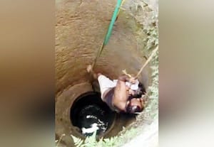  கிணற்றில் விழுந்த 2 வயது சிறுமி மீட்பு