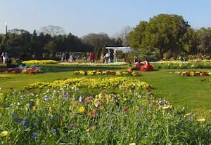  டில்லி மாநில பசுமை பரப்பு அதிகரிக்க வனத்துறை திட்டம்