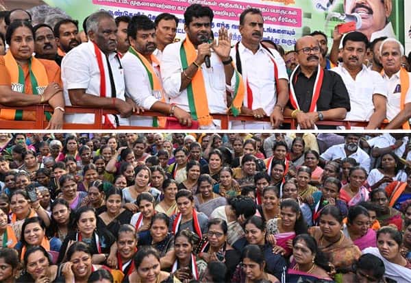 தமிழக மக்களுக்கு 5 ஆண்டுக்குப்பின் சுதந்திரம்: அண்ணாமலை