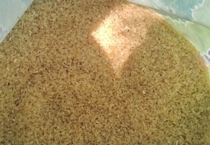  ரேஷன் கடைகளில் மீண்டும் மட்டமான அரிசி?