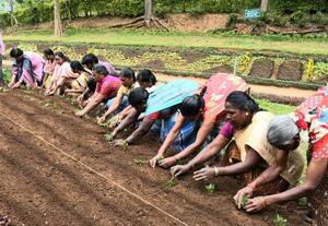  காட்டேரி பூங்காவில் மலர் நாற்று நடவு பணி துவக்கம்