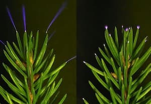 அறிவியல் துளிகள்