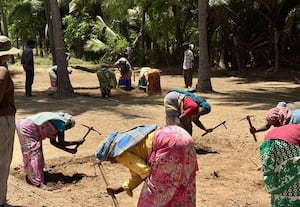  கீழடியில் 11ம் கட்ட அகழாய்வு ஒன்றரை ஏக்கரில் தொடக்கம்