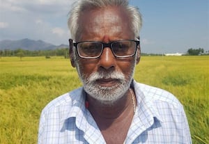  தரையில் சாய்ந்த நெற்கதிர்களால் தலைநிமிர முடியாத விவசாயிகள்