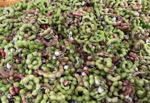  கொடுக்காப்புளி கிலோ 400 ரூபாய்