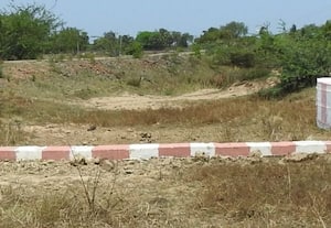  அரை அடி உயரத்தில் தடுப்பணை மழைநீர் தேங்குவதில் சிக்கல்