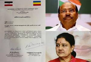சட்டசபை தேர்தலில் கூட்டணி: ராமதாஸ், சசிகலா அறிவிப்பு