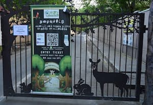 கொத்து கொத்தாக இறந்த பறவைகள்; கிண்டி சிறுவர் பூங்கா இழுத்து மூடல்
